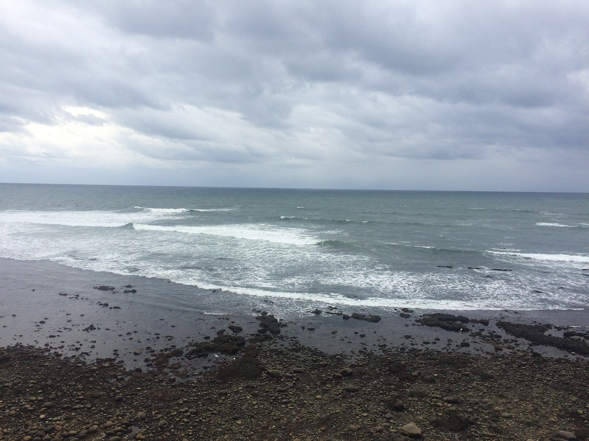 The rocky shoreline and tide pools at Bird Rock