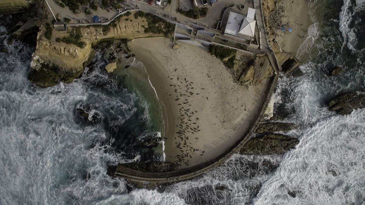 The curved sea wall at the Children's Pool in La Jolla
